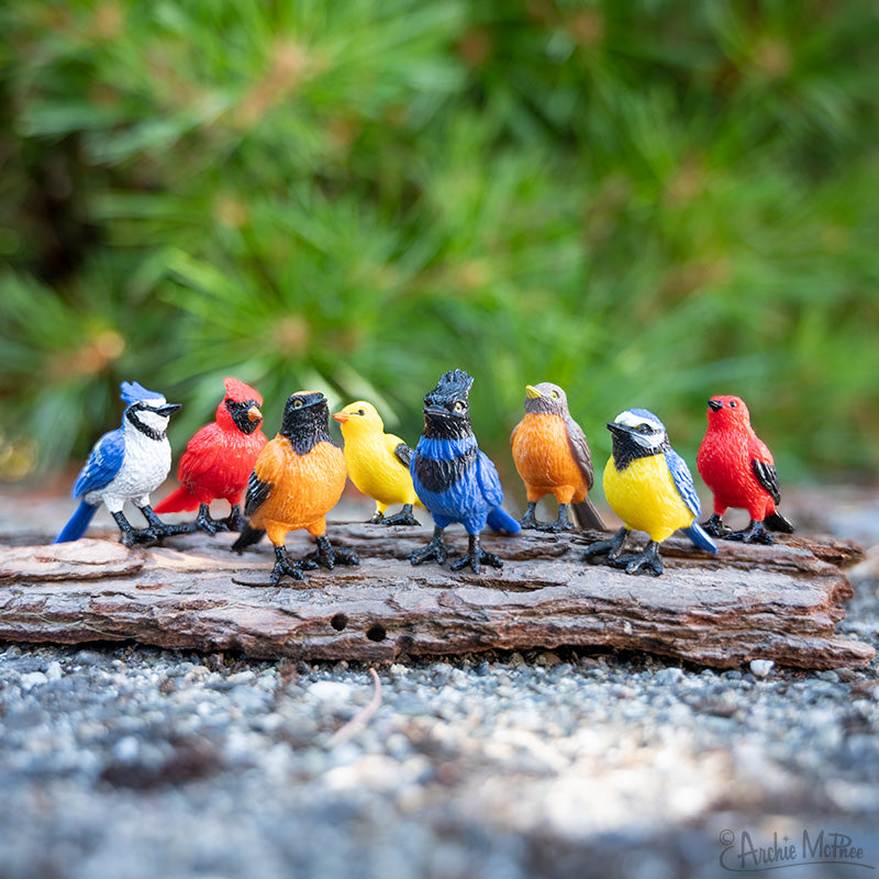 A Collection of Mini Garden Birds
