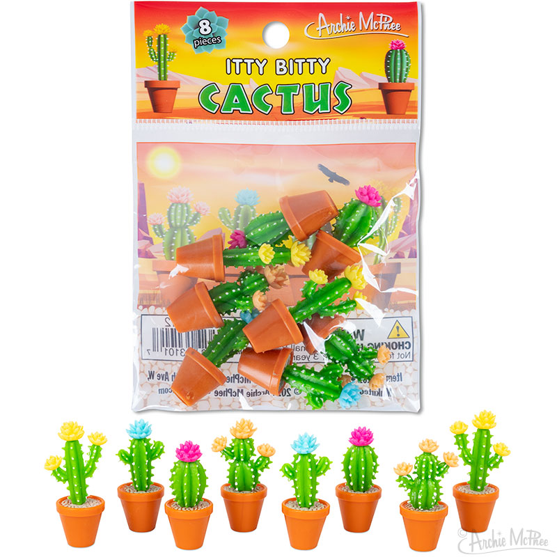 Itty Bitty Cactus
