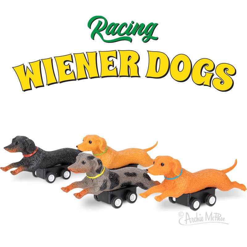 Three dachshund toys on wheels dash forward under the text Racing Wiener Dogs, capturing the lively fun of a wiener dog race.