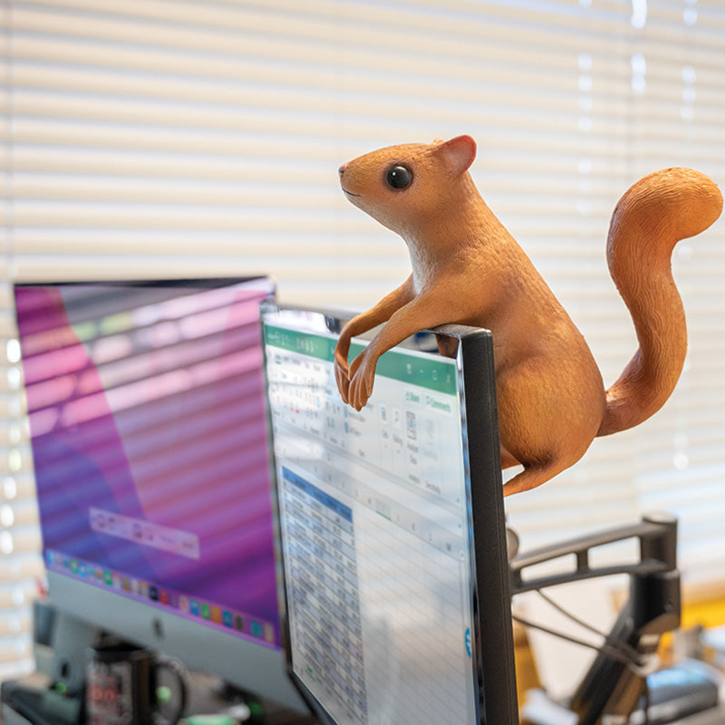Office Squirrel